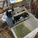 Ev Tipi Elektrikli Zeytin Kırma Makinesi - Görsel 2